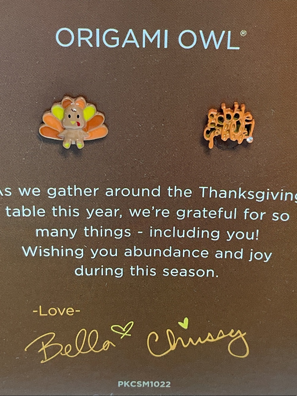 Origami Owl Thanksgiving Turkey & Gobble Gobble Charms